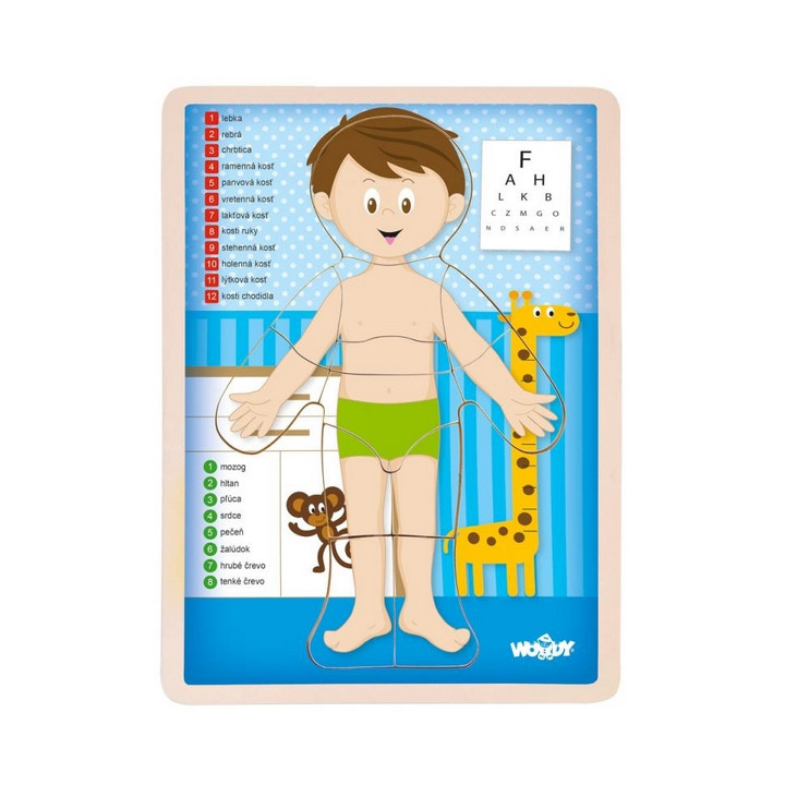 Puzzle "Lidské tělo" - Kluk SK