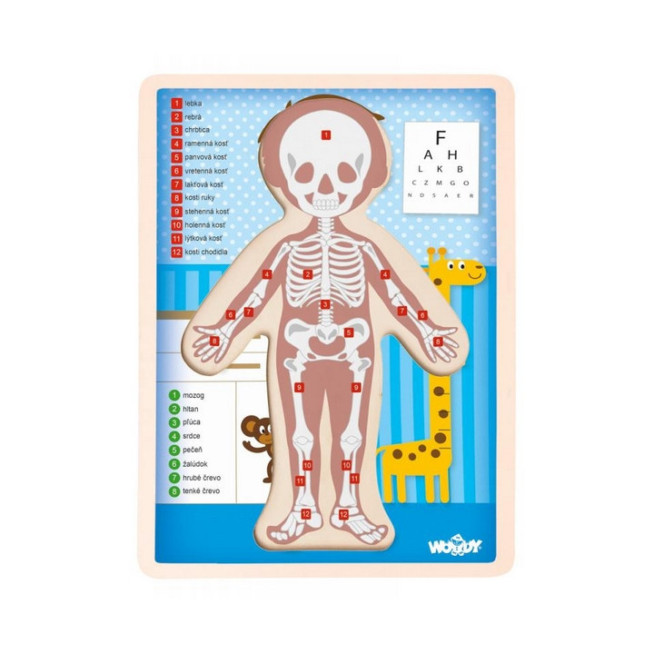 Puzzle "Lidské tělo" - Kluk SK