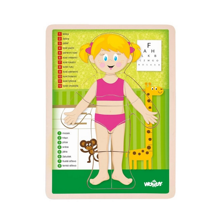 Puzzle "Lidské tělo" - Holka CZ