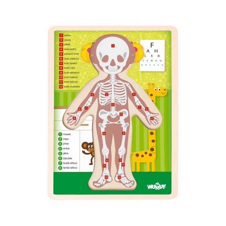 Puzzle "Lidské tělo" - Holka CZ