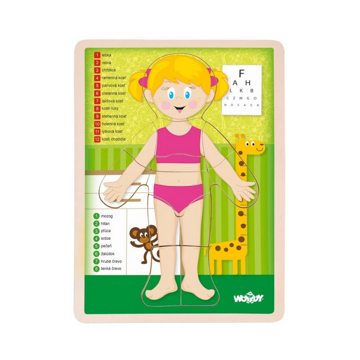 Puzzle "Lidské tělo" - Holka SK