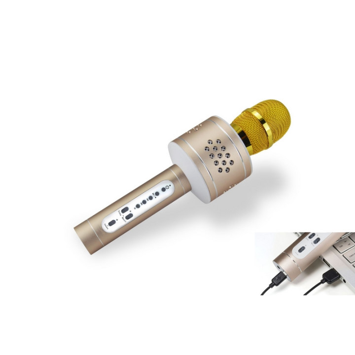 Mikrofon karaoke Bluetooth zlatý na baterie s USB