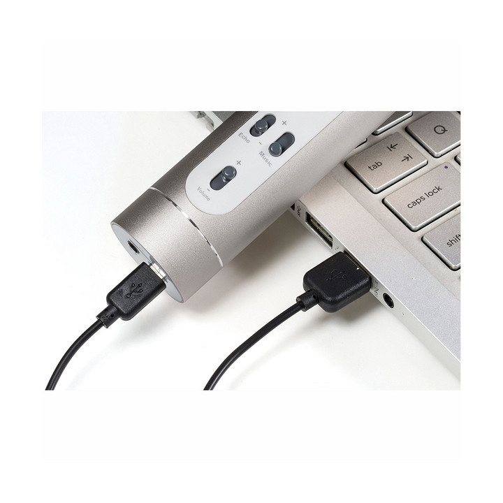 Mikrofon karaoke Bluetooth stříbrný na baterie s USB
