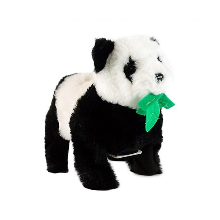 Panda akrobat