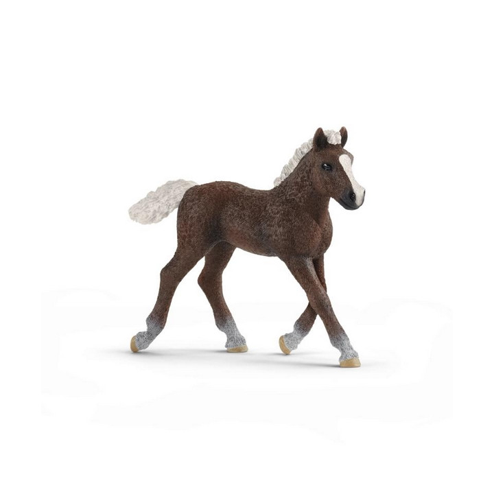 Schleich 13899 Hříbě Schwarzwaldské