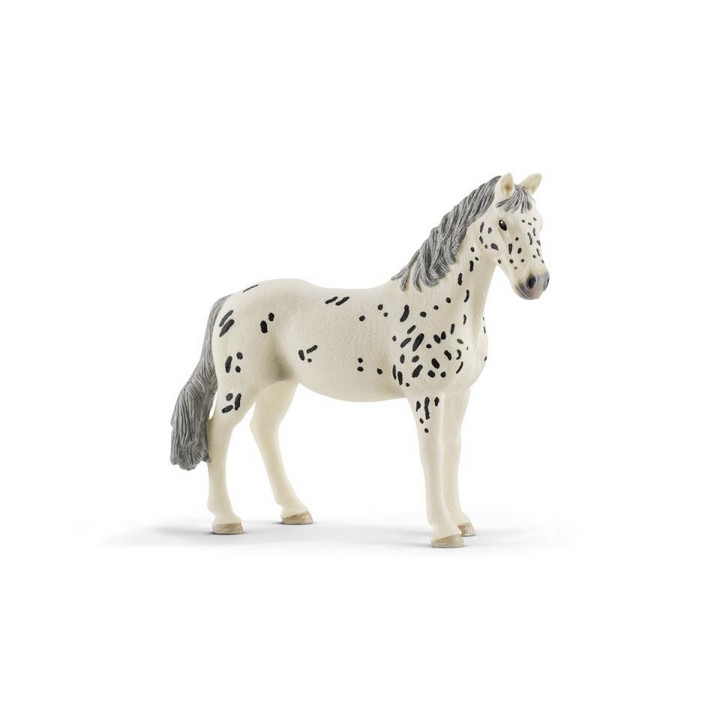 Schleich 13910 Klisna knabstrupperská