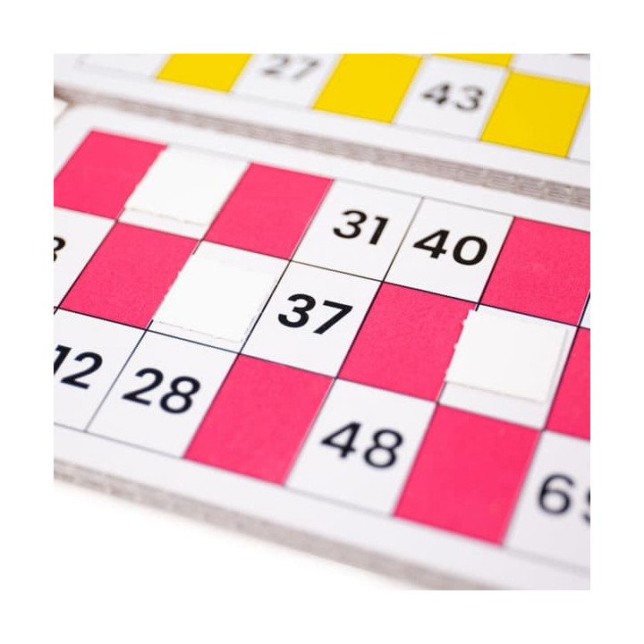 Bigjigs Toys Tradiční Bingo