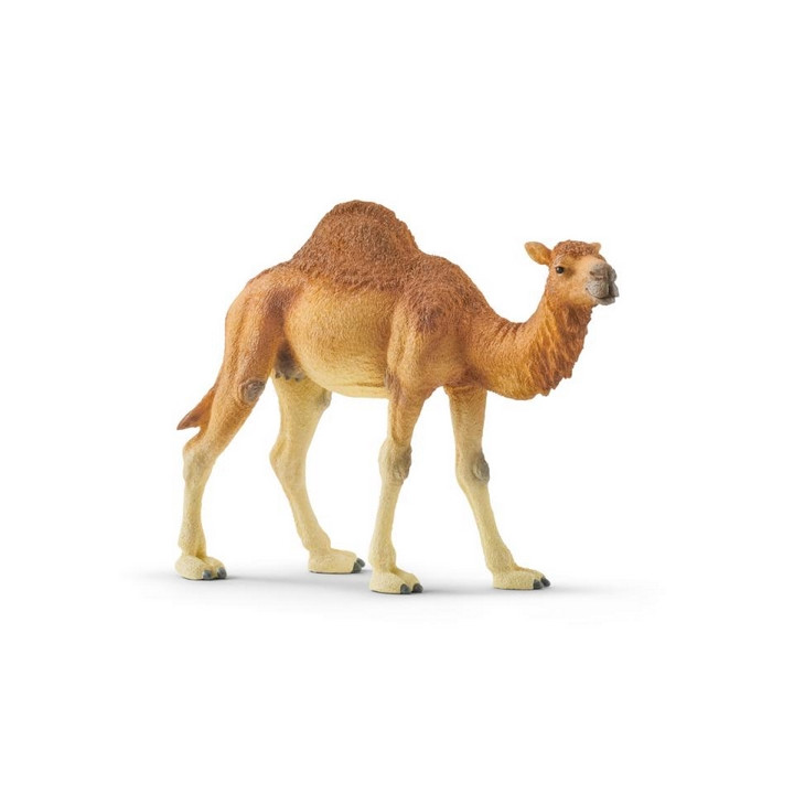 Schleich 14832 Dromedár