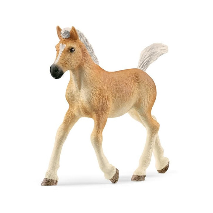 Schleich 13951 Haflingerské hříbě