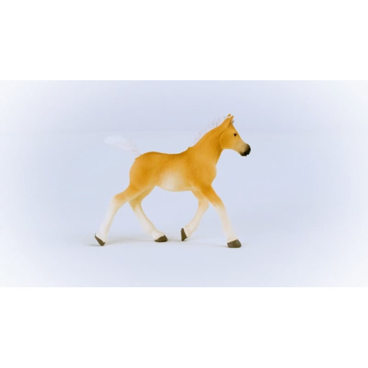 Schleich 13951 Haflingerské hříbě