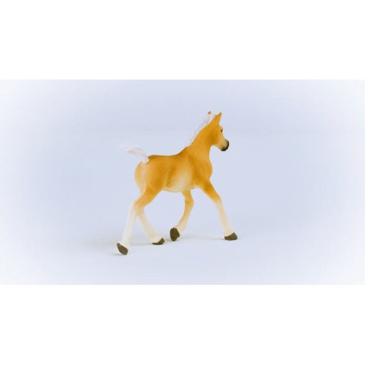 Schleich 13951 Haflingerské hříbě