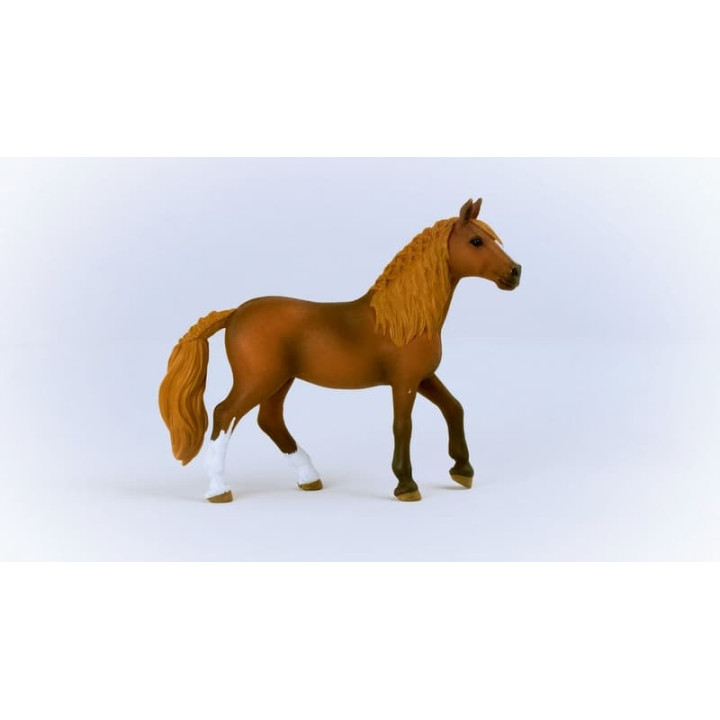 Schleich 13953 Klisna plemene peruánský Paso