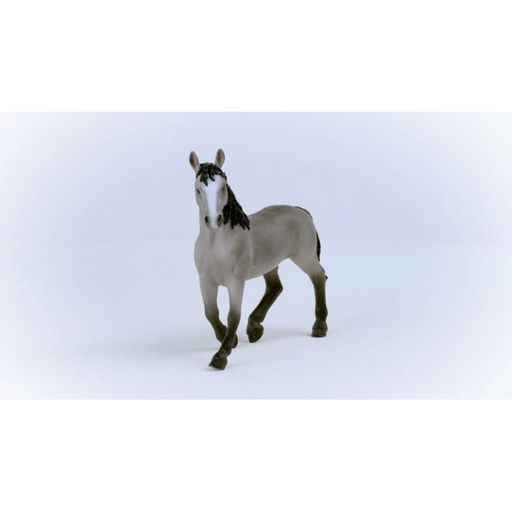 Schleich 13955 Klisna plemene Selle Français