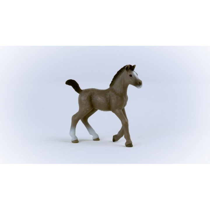 Schleich 13957 Hříbě plemene Selle Français