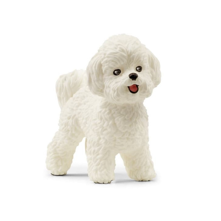 Schleich 13963 Bišon frisé
