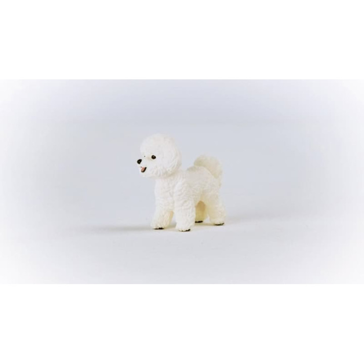 Schleich 13963 Bišon frisé