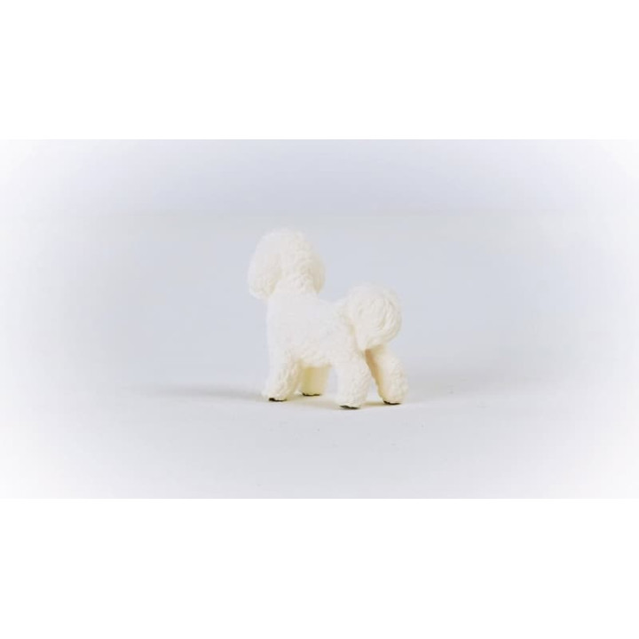 Schleich 13963 Bišon frisé