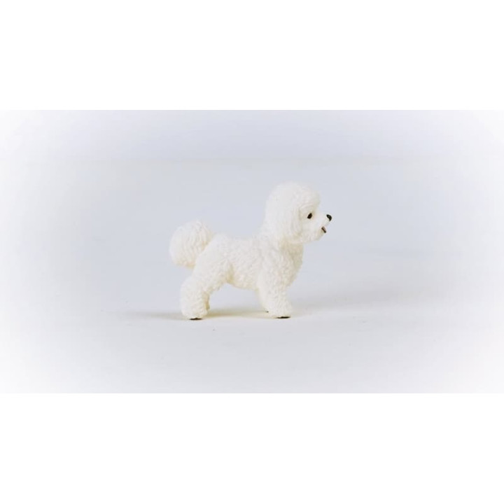 Schleich 13963 Bišon frisé