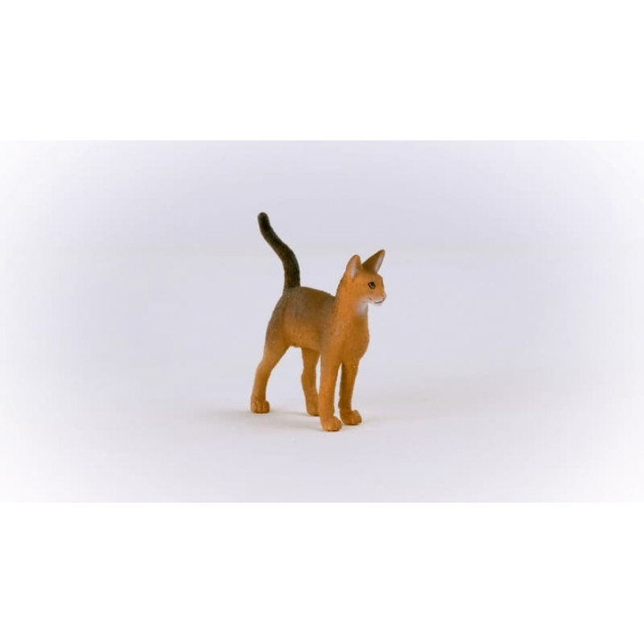 Schleich 13964 Habešská kočka
