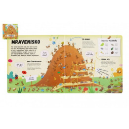 Kniha Čo sa deje v mravenisku SK verzia