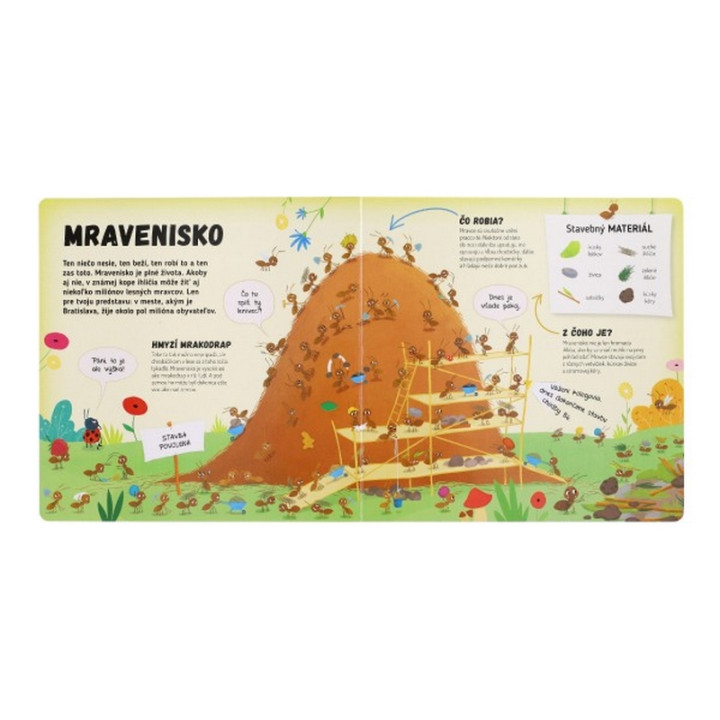 Kniha Čo sa deje v mravenisku SK verzia