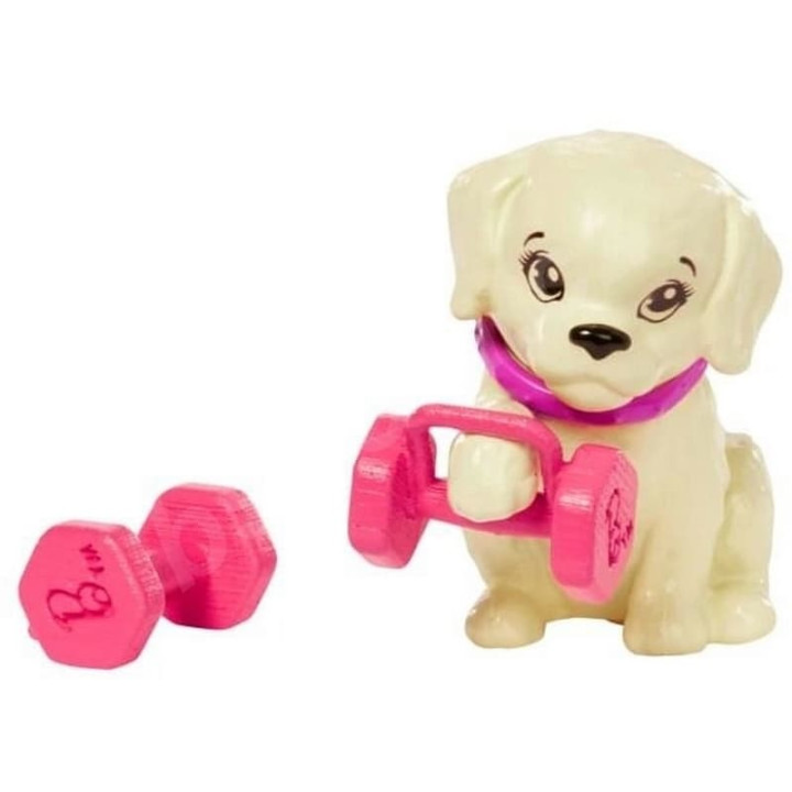 Barbie Wellness panenka - sportovní den HKT91