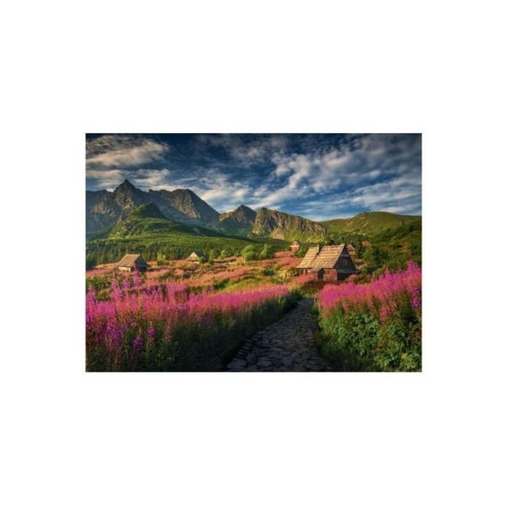 GASIENICOVO ÚDOLÍ 1000 Puzzle
