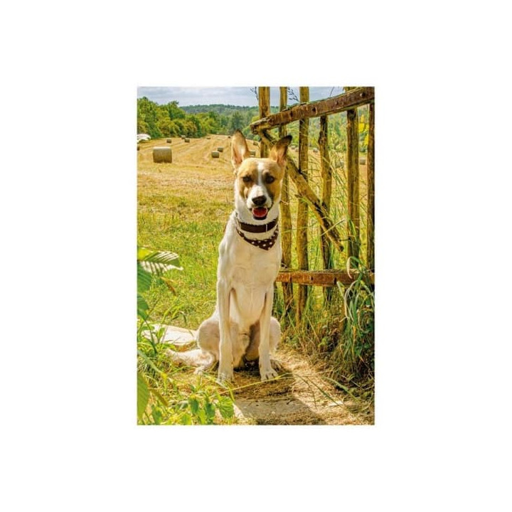 GUMP JSME DVOJKA 300 XL puzzle