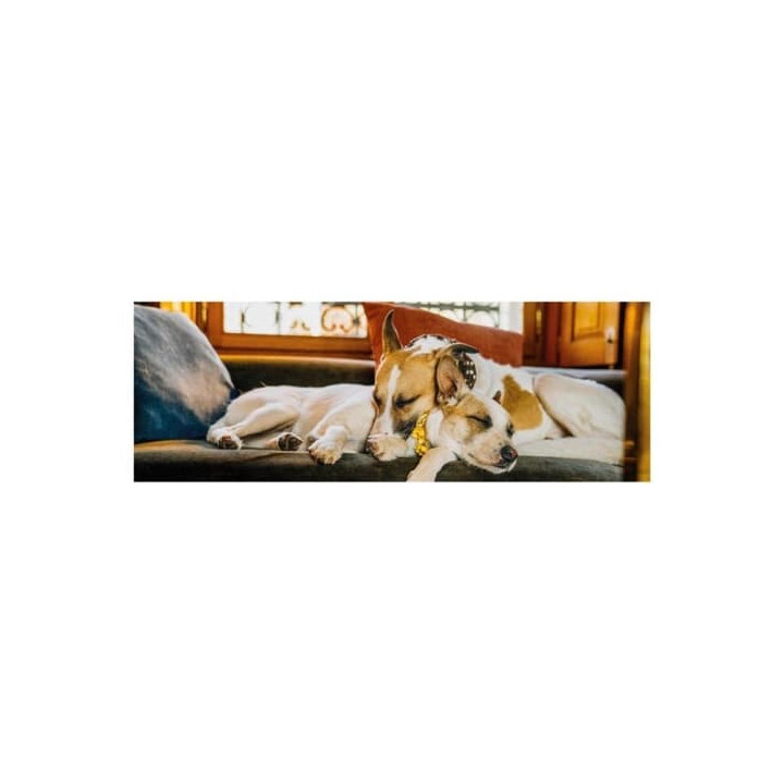 GUMP JSME DVOJKA NA GAUČI 150 panoramic Puzzle