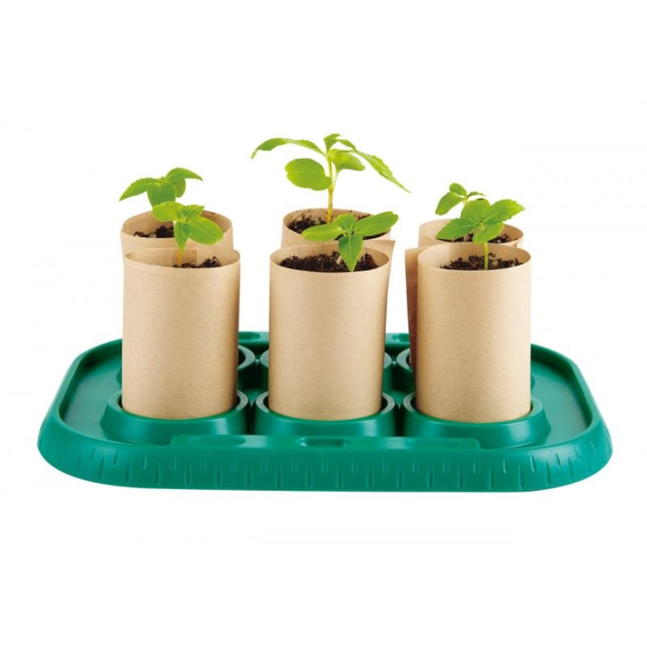 Hape Bamboo - skleník pro malé zahradníky