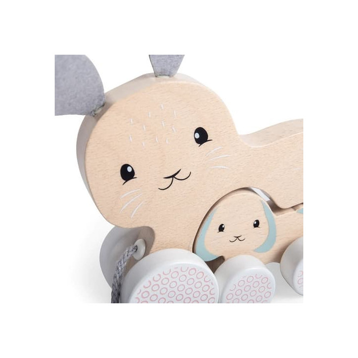 Bigjigs Toys Tahací zajíček s mládětem
