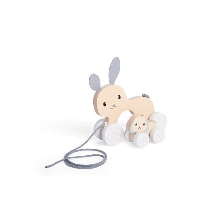 Bigjigs Toys Tahací zajíček s mládětem