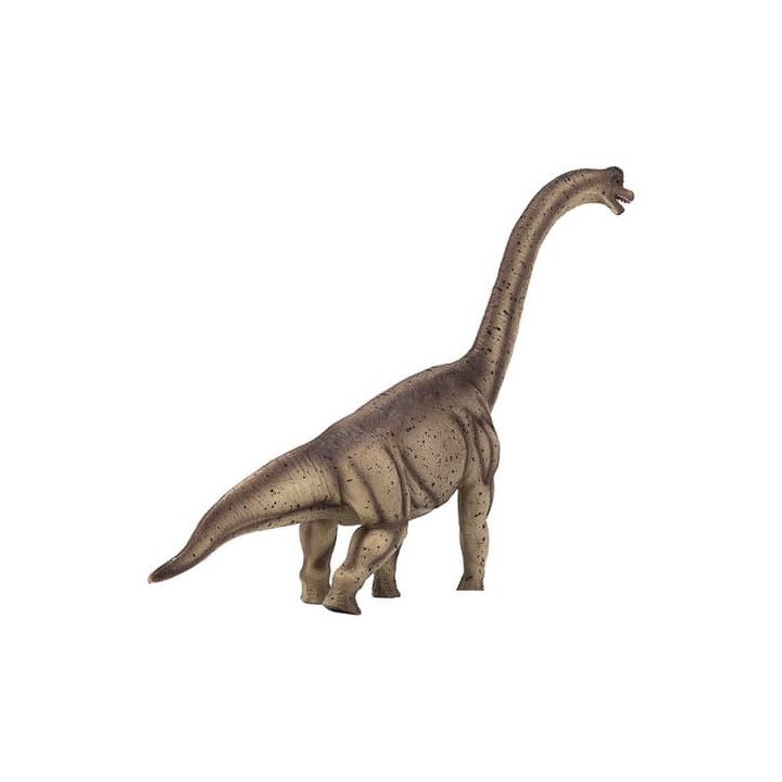 Mojo Brachiosaurus