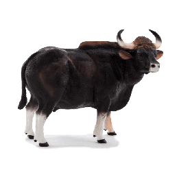 Mojo Gaur býk