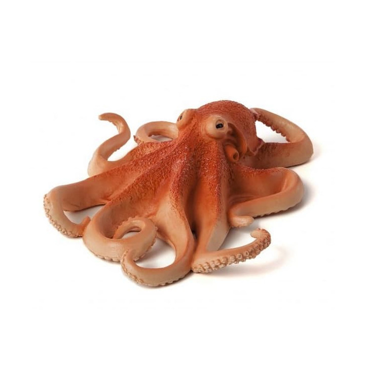 Mojo Chobotnice