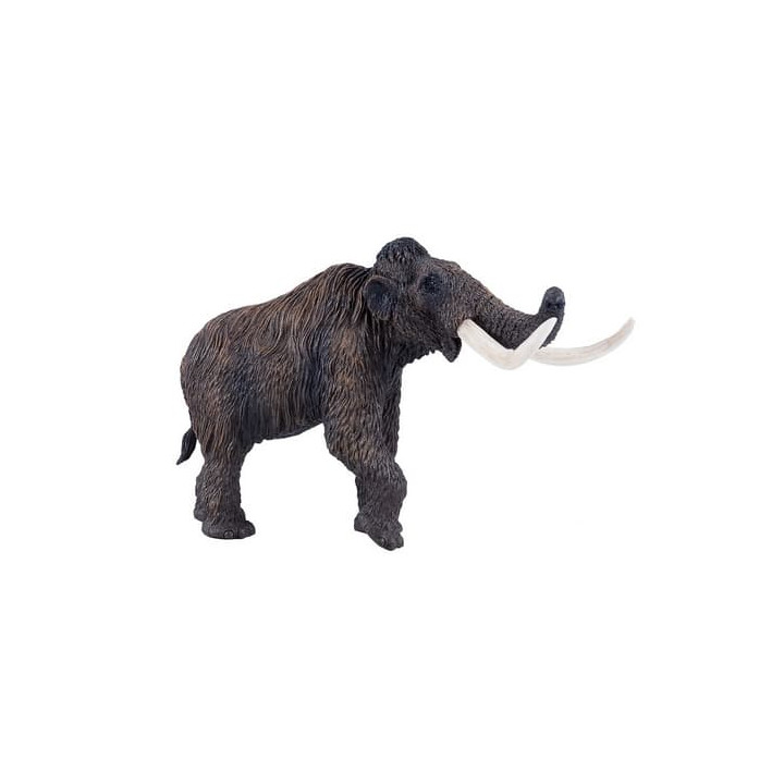 Mojo Mamut srstnatý