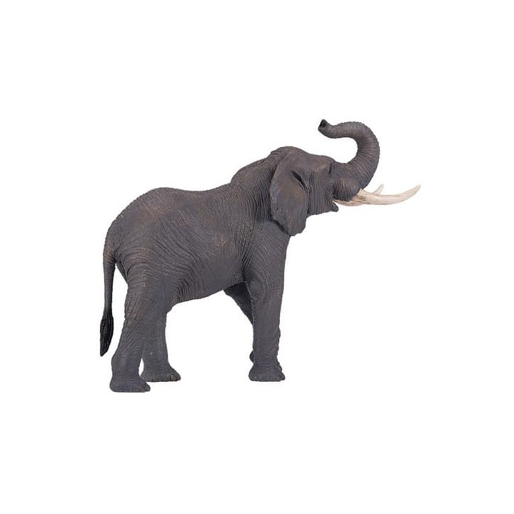 Mojo Slon africký