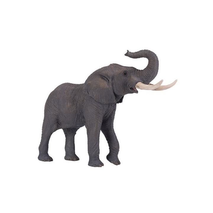 Mojo Slon africký
