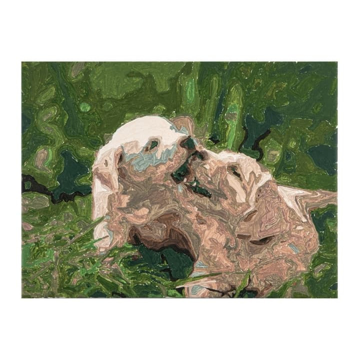 Malování podle čísel na plátno Psi 30x40 cm