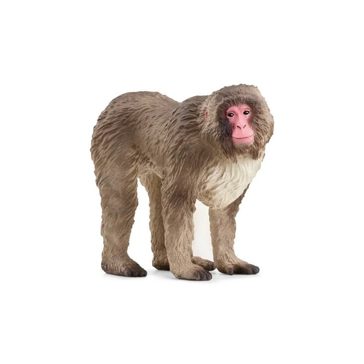 Schleich 14871 Makak červenolící