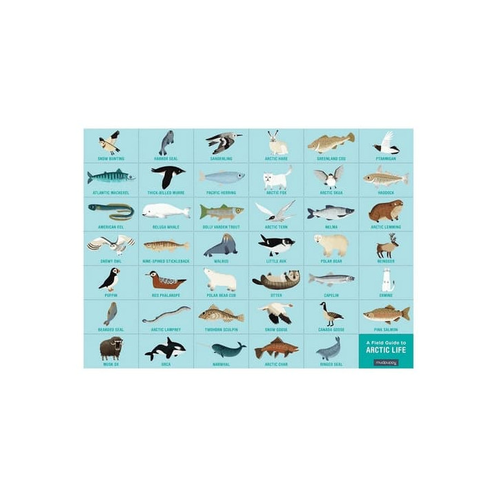 Mudpuppy Puzzle skládej a hledej Život v Arktidě 64 dílů