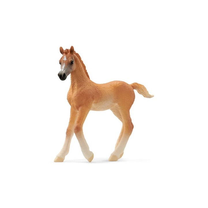 Schleich 13984 Arabské hříbě