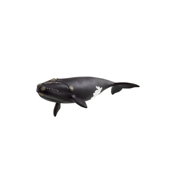 Schleich 14878 Velryba severoatlantická