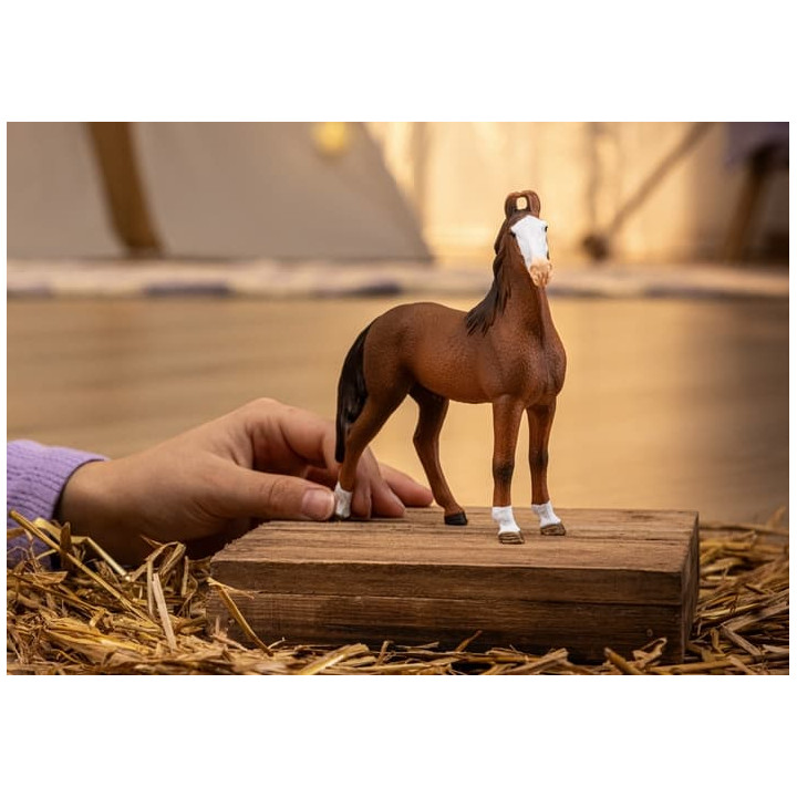 Schleich 14897 Klisna marwari