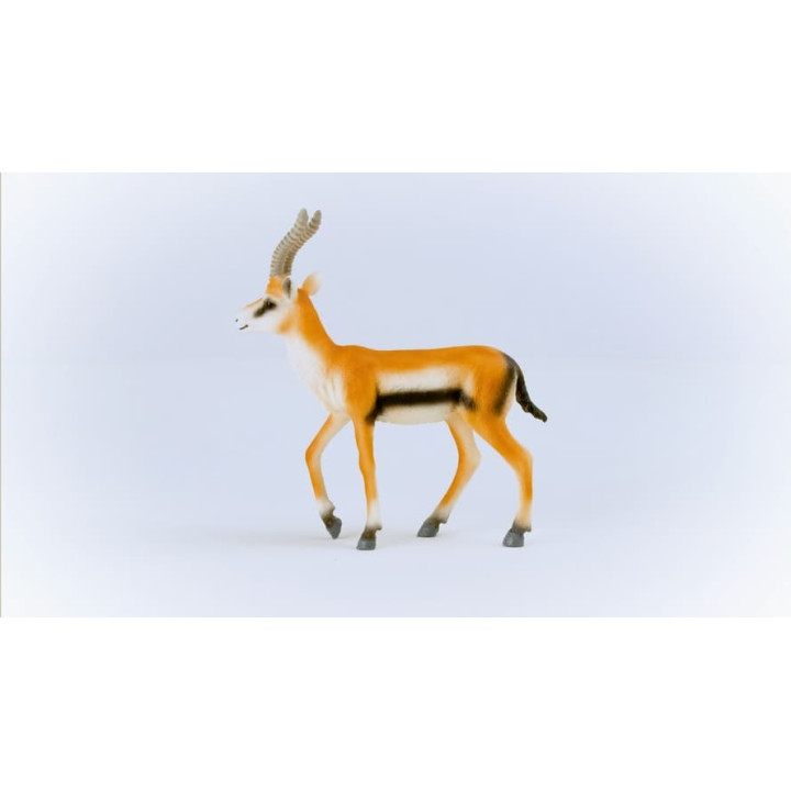 Schleich 14861 Gazela Thomsonova