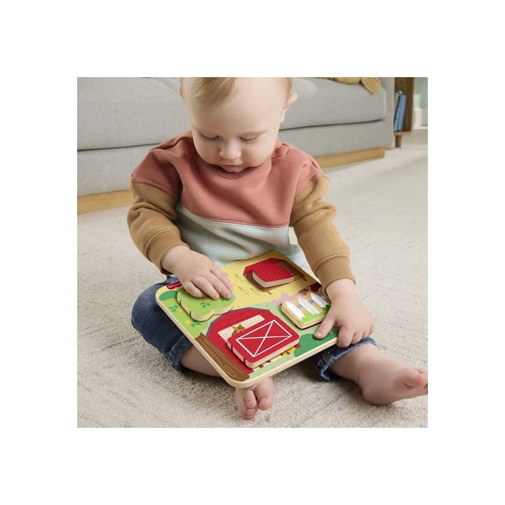 Fisher Price Dřevěná hra na schovávanou