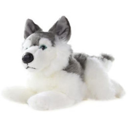Plyš Husky