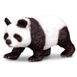 Panda velká