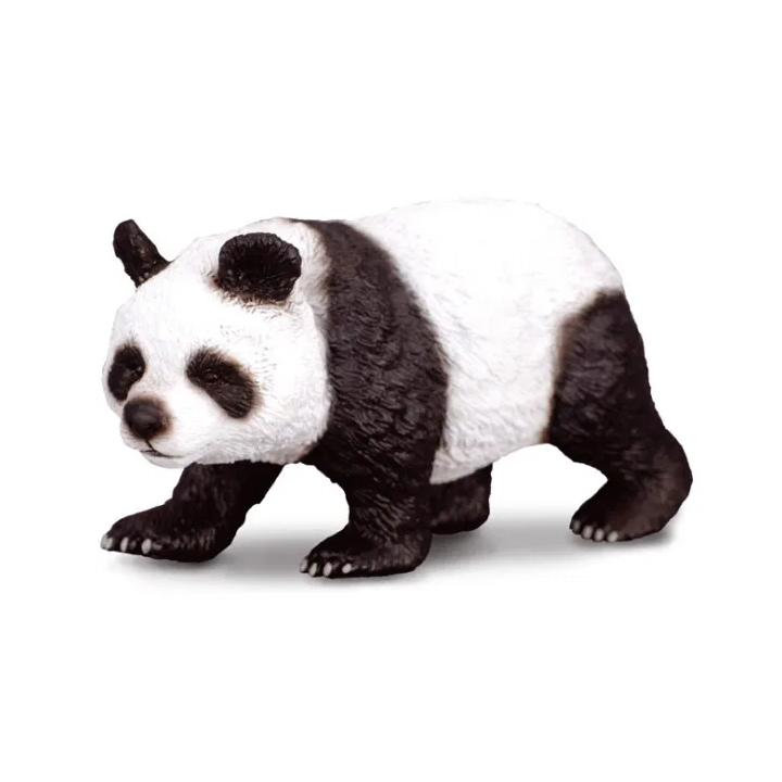 Panda velká