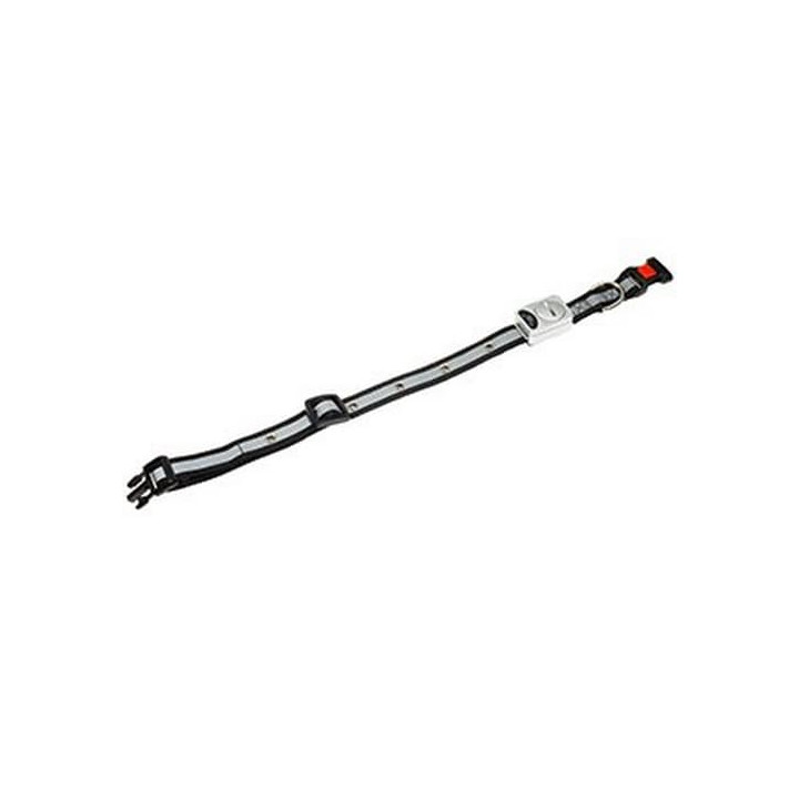 Flamingo LED světelný obojek nylon černý obvod 45-65cmx25mm